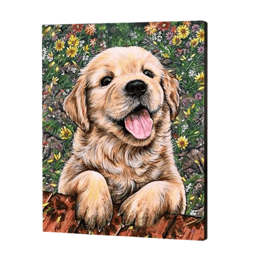 Dogs & Puppies Paint by Numbers 