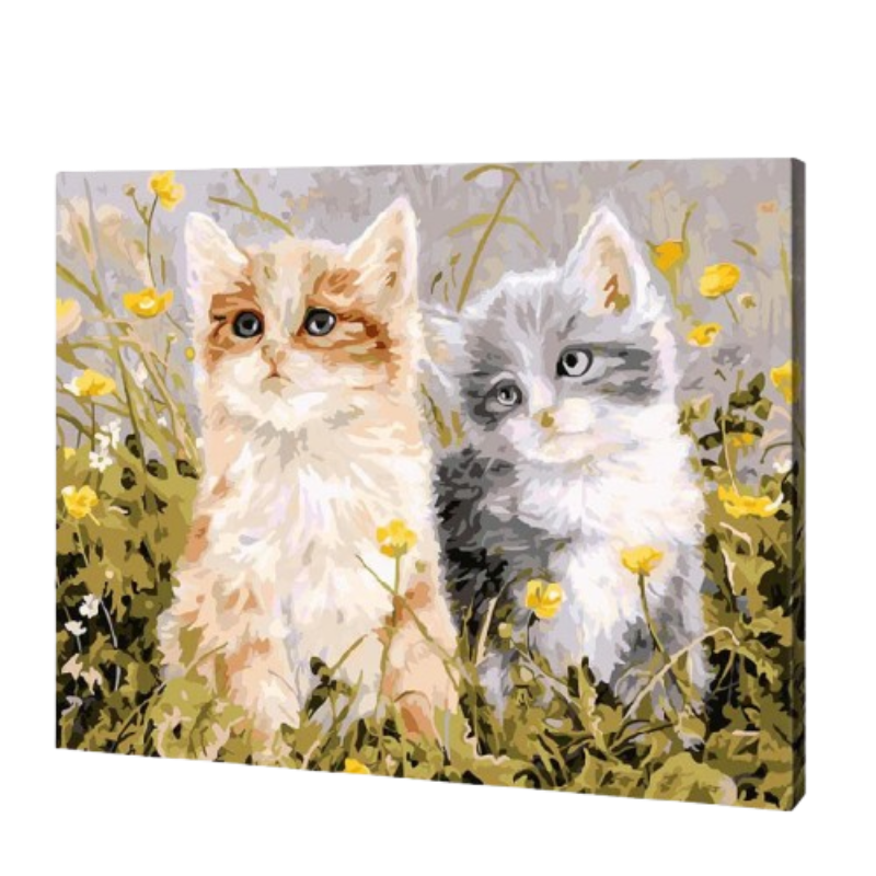 Cats & Kittens Paint by Numbers