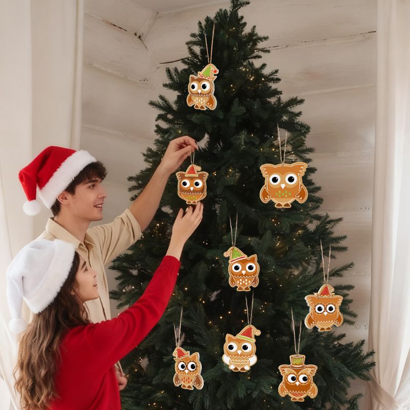Christmas Owl Friends Ornaments Paint by Numbers