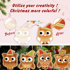 Christmas Owl Friends Ornaments Paint by Numbers