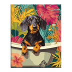 Bath Time Dachshund Paint by Numbers