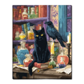 Black Cat and Raven Paint by Numbers