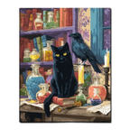 Black Cat and Raven Paint by Numbers