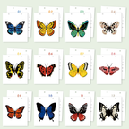 Blooming Butterfly Paint by Numbers Calendar