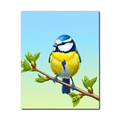Garden Songbird Paint by Numbers