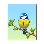 Garden Songbird Paint by Numbers