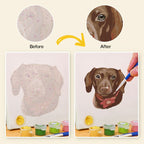 Charming Dog Faces Mini Paint by Numbers