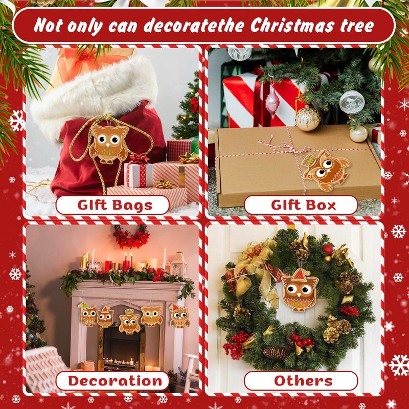Christmas Owl Friends Ornaments Paint by Numbers