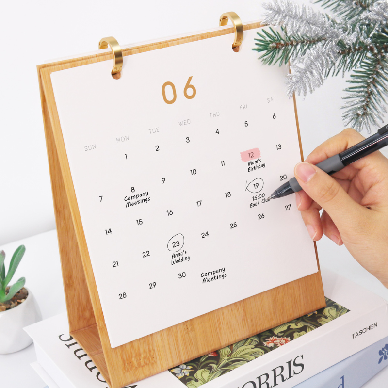 Christmas Reindeer Paint by Numbers Calendar