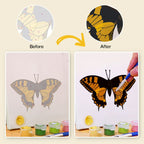 Colorful Butterflies Mini Paint by Numbers