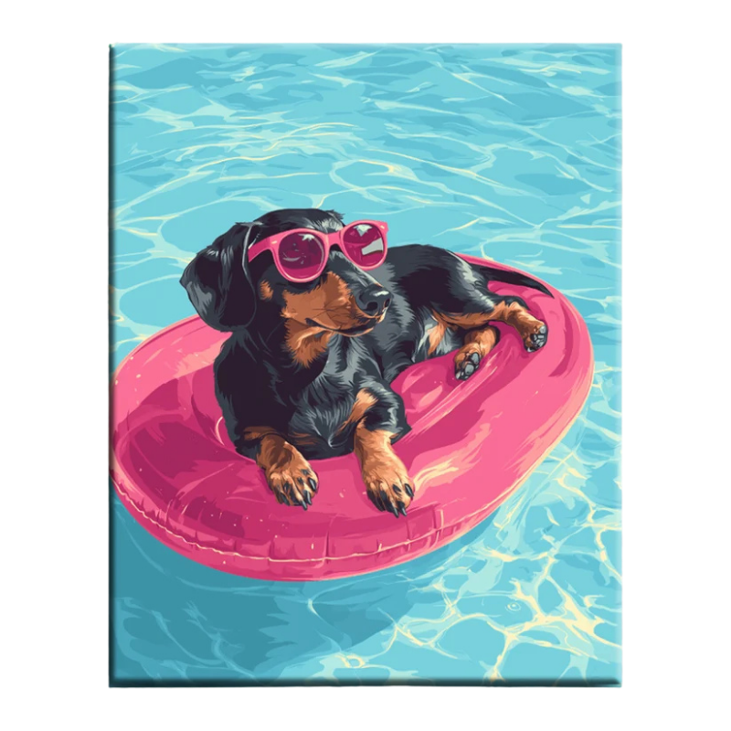 Dachshund Pool Day Paint by Numbers
