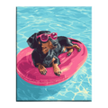 Dachshund Pool Day Paint by Numbers
