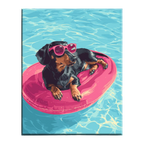 Dachshund Pool Day Paint by Numbers