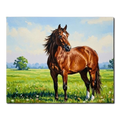 Elegant Brown Horse Paint by Numbers