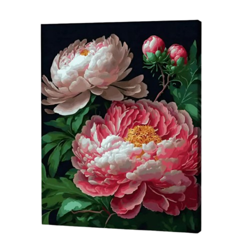 Elegant Peonies Paint by Numbers