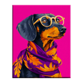 Fashionista Dachshund Paint by Numbers