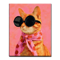 Fashionista Tabby Cat Paint by Numbers