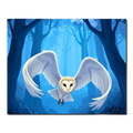 Flying Barn Owl Paint by Numbers