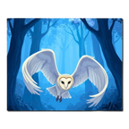 Flying Barn Owl Paint by Numbers