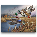 Flying Mallard Ducks Paint by Numbers