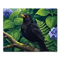 Garden Blackbird Paint by Numbers