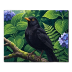 Garden Blackbird Paint by Numbers