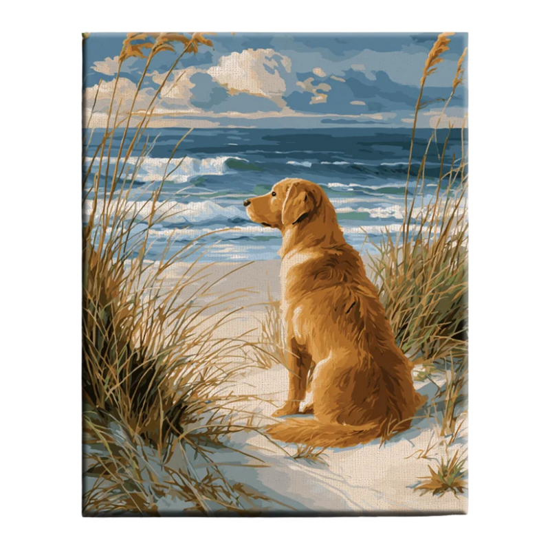 Golden Retriever by the Sea Paint by Numbers