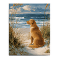 Golden Retriever by the Sea Paint by Numbers