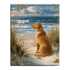 Golden Retriever by the Sea Paint by Numbers