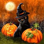 Halloween Witch Cat Paint by Numbers