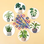 Indoor Plants Paint by Numbers Coasters
