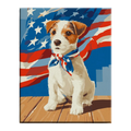 Little Patriot Dog Paint by Numbers