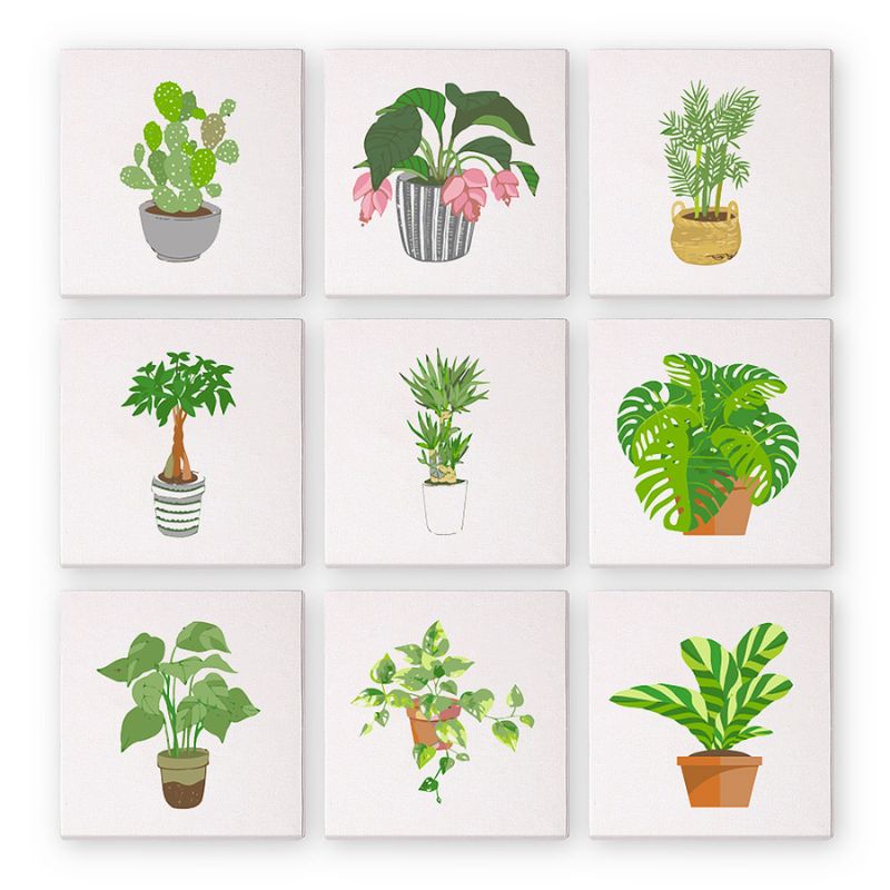 Modern Houseplants Mini Paint by Numbers