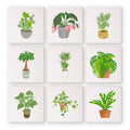 Modern Houseplants Mini Paint by Numbers