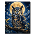 Owl Under the Full Moon Paint by Numbers
