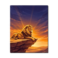 Royal Lion at Sunset Paint by Numbers