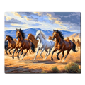 Running Horses in the Desert Paint by Numbers