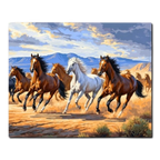 Running Horses in the Desert Paint by Numbers