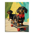 Skateboard Dachshund Paint by Numbers