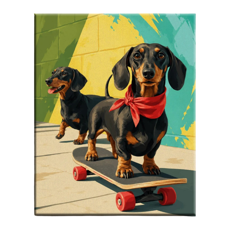 Skateboard Dachshund Paint by Numbers