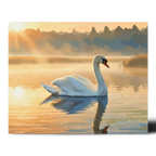 Swan at Sunrise Paint by Numbers
