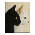 Twin Cats in Contrast Paint by Numbers