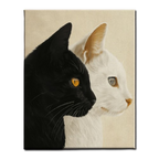 Twin Cats in Contrast Paint by Numbers