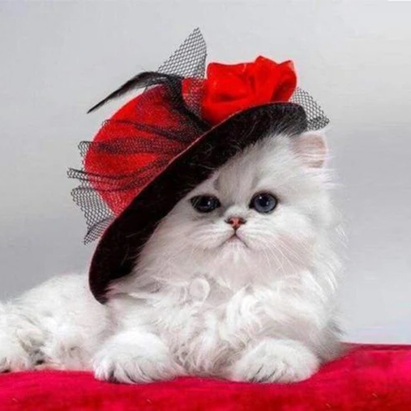 White Cat in a Red Hat Paint by Numbers