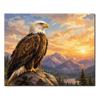 Wild Eagle at Sunrise Paint by Numbers