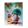 Winterlight Magic Gnome Paint by Numbers