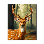 Woodland Majesty Deer Paint by Numbers