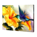 Little Hummingbird Paint by Numbers
